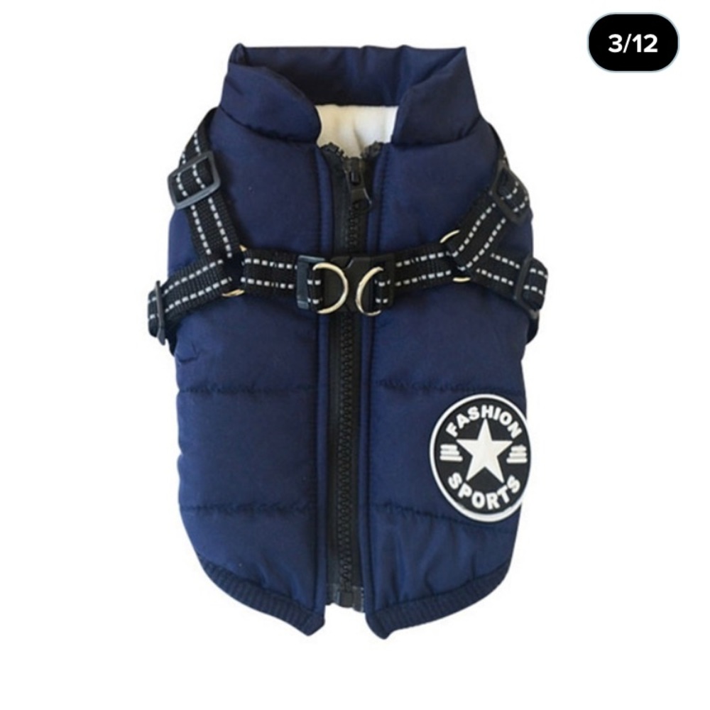 Dog navy jacket